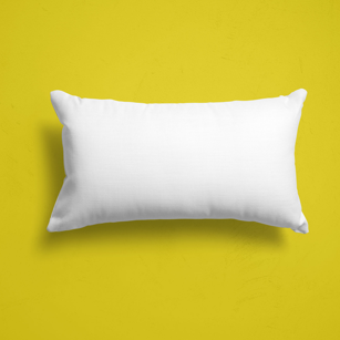 The Mott - Buckwheat Pillow